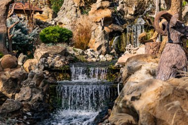 Küçük yapay bir tatlı su şelalesi yaygın bir yaşayan gölete akar. Yeşil yosun ve bitki örtülü arsa yapısı. Doğal elementlerin ve detayların güzel tasarımı.