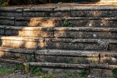 Yaslanan bir ağacın dallarından siyah böğürtlen saçılmış eski beton merdivenler ilginç bir kompozisyona sahip.