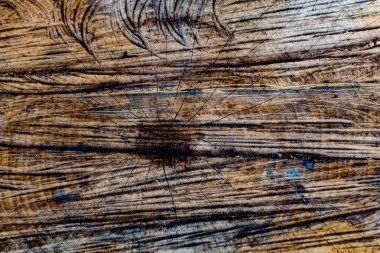 Kesilmiş ahşaptan yapılmış doğal doku. Büyük kahverengi gövde, yağmurdan sonra katmanlı doku, ıslak ahşap renk.