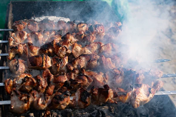 Pörkölt Aranyhéjú Füstös Ízű Öntözőnyársak Grillező Parázzsal Udvaron Természetben Főtt — Stock Fotó