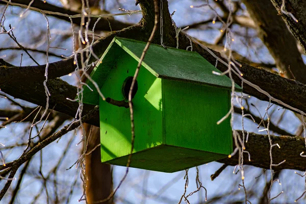 Drewniany Domek Dla Ptaków Zbudowany Własnymi Rękami Pomalowany Kolorową Farbą — Zdjęcie stockowe