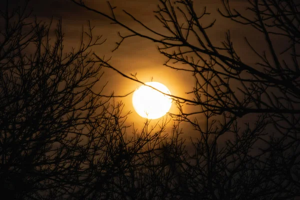 Noc Velký Měsíc Soumračné Obloze Krásným Osvětlením Nebeské Světélko Rozsvítí — Stock fotografie