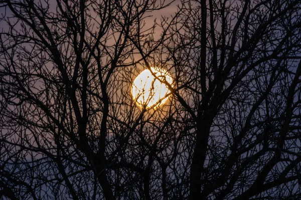 Noc Velký Měsíc Soumračné Obloze Krásným Osvětlením Nebeské Světélko Rozsvítí — Stock fotografie