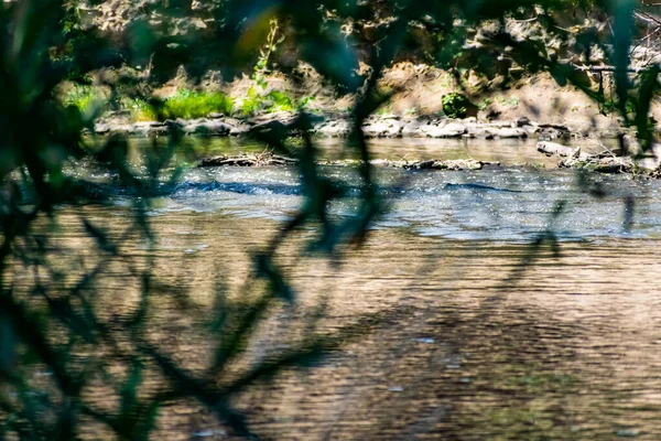 Ένα Ρέον Ποτάμι Φρέσκο Νερό Πάνω Από Οποίο Κρέμονται Μεγάλα — Φωτογραφία Αρχείου