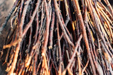 Birçok ince daldan yapılmış Sibirya süpürgesi. Sokakları ve bahçeyi süpürmek için dallar birleşti.