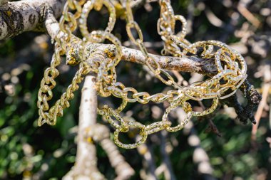 Bu sezon farklı tip ve boyutlarda çok katmanlı zincirler moda oldu. Doğanın elementlerinden ağaç kabuğu ve odun gibi dallarda asılı metal alaşımının Altın halkalarına baktık. Dekorasyonların ayrıntıları