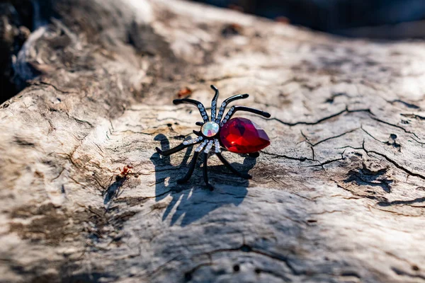 赤い石とラインストーンを持つ黒いクモの形をした豪華な女性のブローチは 木製の表面の開いた空の下で太陽の光に輝いています 赤い森のアリがクモを攻撃 — ストック写真