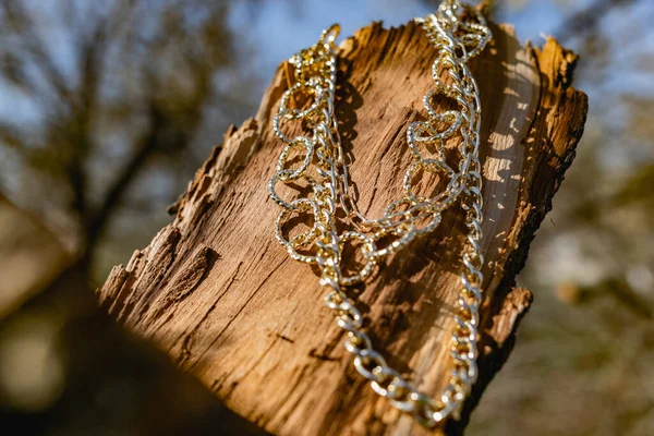 This season, multi-tiered chains of different types and sizes are fashionable. Faceted Golden links of the metal alloy dry hanging on the branches, bark and wood from the elements of nature. Details of decorations