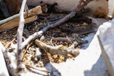 Beton bir arka planda küçük dallar ve kuru çentikler, açık gökyüzünün altında küçük bir ateş için bir yığın yalan