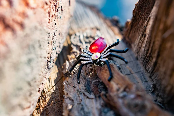 引人注目的女式胸针 形似黑蜘蛛 头戴莱茵石和红石 在明媚的阳光下闪烁着自然和表面的石头和木制元素的光芒 — 图库照片