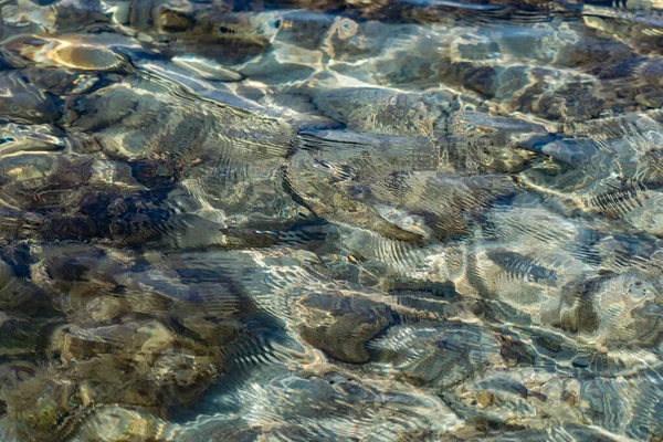 Superfície Água Salgada Mar Balançando Ondas Pequenas Perto Costa Através — Fotografia de Stock