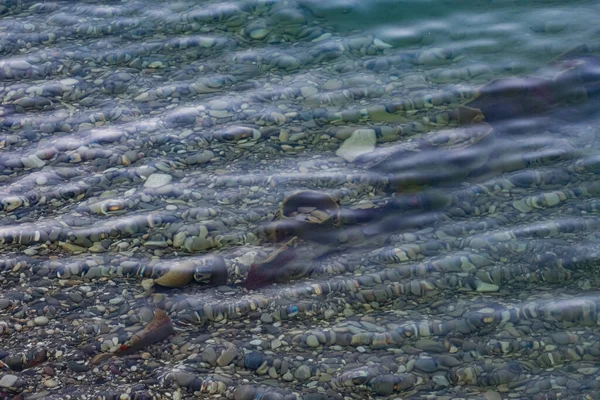 The surface is salty sea water, swaying in small waves near the shore, through the transparent bottom you can see stones and pebbles