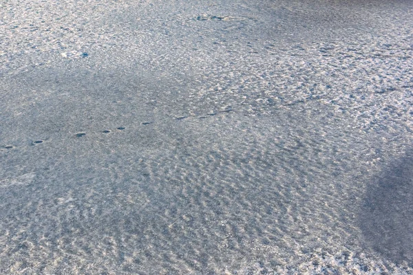 Pegadas Tapete Inverno Neve Branca Camada Revestimento Cristal Congelado — Fotografia de Stock