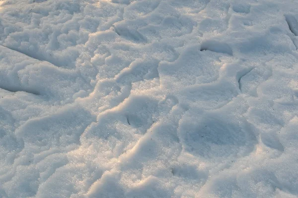 Pegadas Tapete Inverno Neve Branca Camada Revestimento Cristal Congelado — Fotografia de Stock