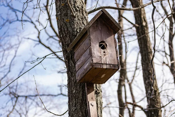 Drewniany Domek Dla Ptaków Zbudowany Własnymi Rękami Pomalowany Kolorową Farbą — Zdjęcie stockowe