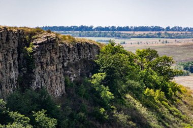 Taşlı Zaitsev kayalarının Rostov bölgesinde alışılmadık bir manzara, yeşil yaprak döken ağaçlar, kuru sarı çimenler, mavi gökyüzü ve güneşli yaz ışığı.