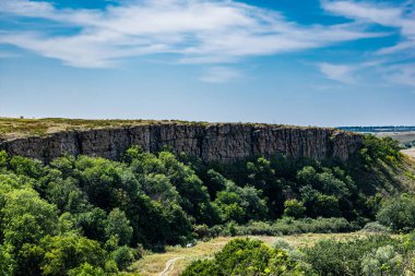 Taşlı Zaitsev kayalarının Rostov bölgesinde alışılmadık bir manzara, yeşil yaprak döken ağaçlar, kuru sarı çimenler, mavi gökyüzü ve güneşli yaz ışığı.