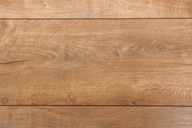Meşe ağacı dokusu arkaplanı