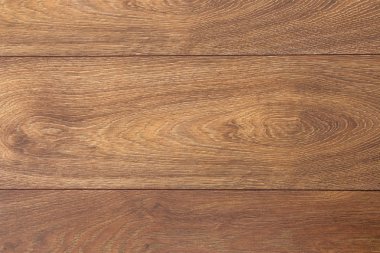 Meşe ağacı dokusu arkaplanı