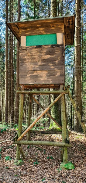 Baverian ormanlarının tipik bir ahşap av kürsüsü.