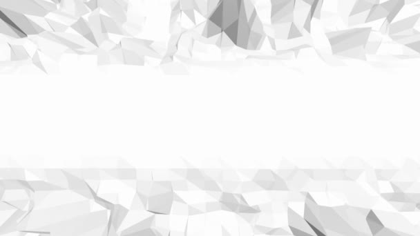 Macha prosty czarno-biały niskie poli — Wideo stockowe