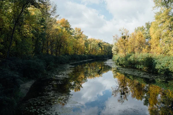 Yeşil ve sarı ağaçlarıyla kıyısında sakin Nehri