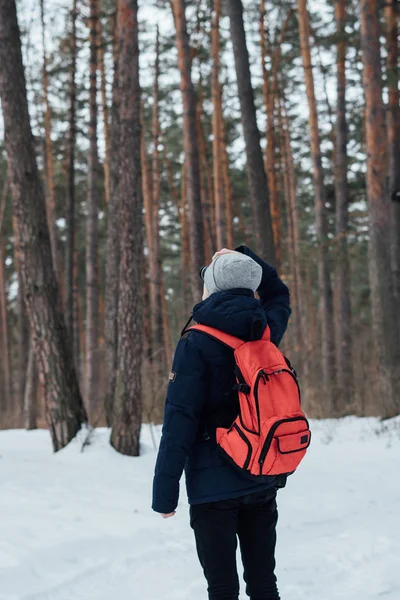 Backpacker kış orman arka görünümü