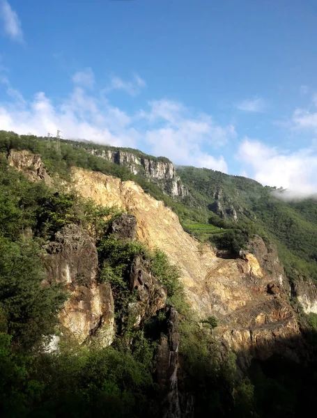 Vista Lejana Del Acantilado Plomada Del Bosque Soleado —  Fotos de Stock