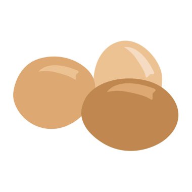 Vector drawing, set of eggs. A whole egg, egg yolk in shell, flat