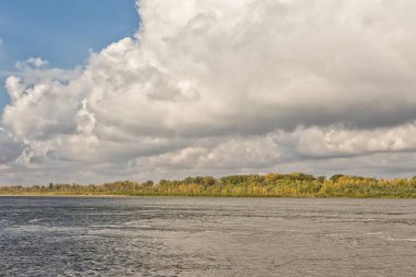 Ormanın karşısındaki nehir kıyısında peyzaj görünümü 