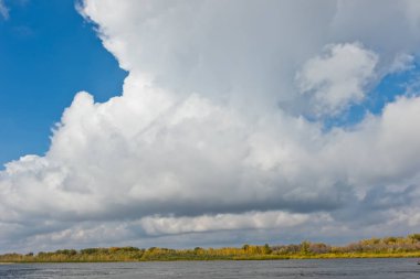 Ormanın karşısındaki nehir kıyısında peyzaj görünümü 