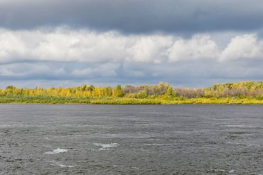 Ormanın karşısındaki nehir kıyısında peyzaj görünümü 