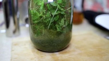 Twigs of fresh mint with leaves and particles of dried lemon balm swirl in a glass jar floating in moonshine