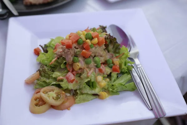 Salad Tuna Dan Sayuran Pada Hidangan Putih — Stok Foto
