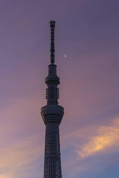 Вид Горизонт Токио Закате — стоковое фото