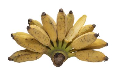 Beyazlar üzerinde ekilmiş muz..