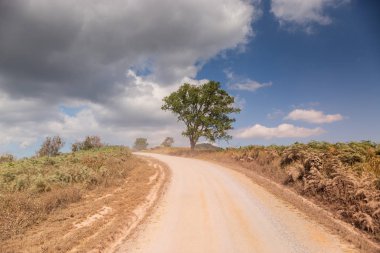 Doğal çakıl toz köy yolunda.