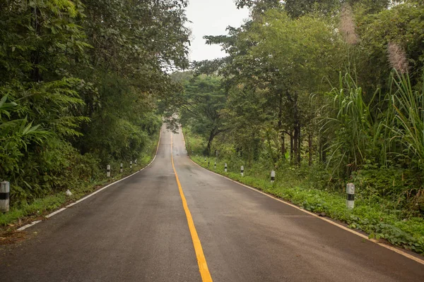 山中的路. — 图库照片