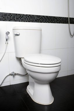 Banyonun iç kısmında beyaz klozet var. Yakın plan..