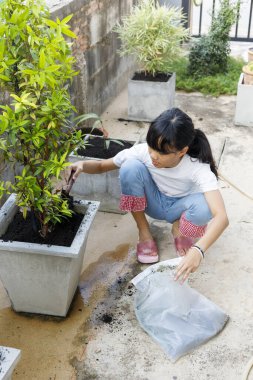 Kız ağaç için toprağı kazıyor..