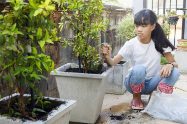 Kız ağaç için toprağı kazıyor..