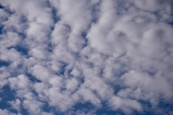 Nuvens Manhã Brilhantes Bela Paisagem Nublada — Fotografia de Stock