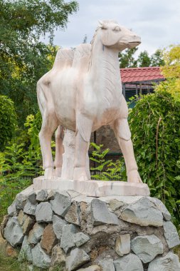 Deve heykeli. Aslan Parkı Tayganı. Belohirsk 'de. Kırım. Ağustos 2019