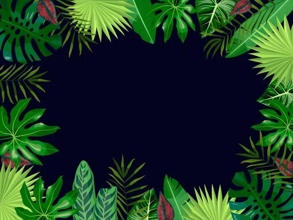 Vecteur Fond Bleu Foncé Avec Feuilles Tropicales Palmiers Feuilles Monstère — Image vectorielle