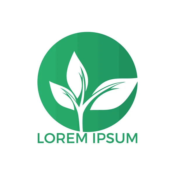 Yuvarlak ağaç logo tasarımı.