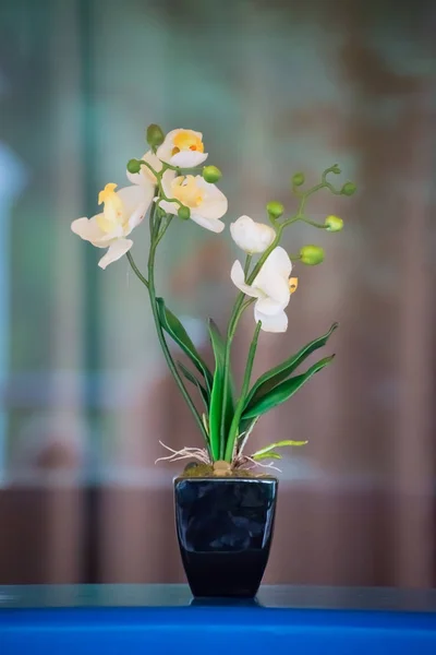 Beautiful gentle flower standing in a pot near the window