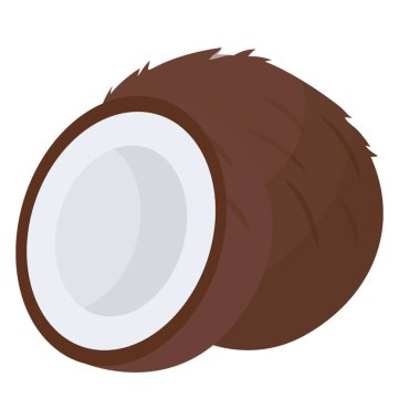 Enine kesitli bir hindistan cevizi 