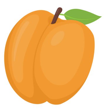 Sağlıklı meyve zengin vitamin, kayısı