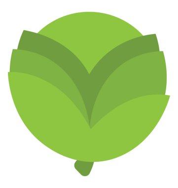 Düz simgesi tasarım bir lahana