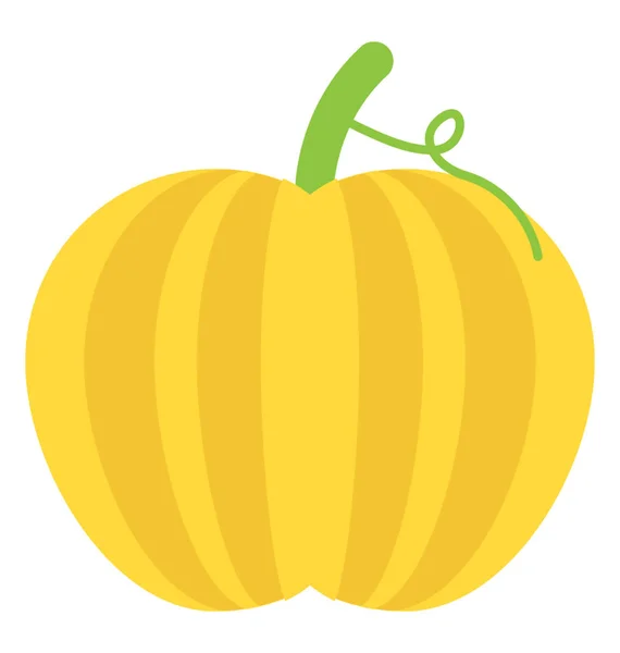 Большой Апельсин Желтый Фрукт Тыквенные Фрукты Часто Называют Овощи — стоковый вектор